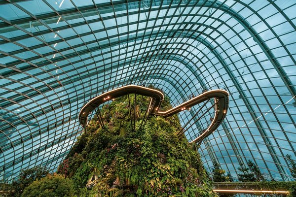 Comment organiser une visite des jardins botaniques de Singapour ?